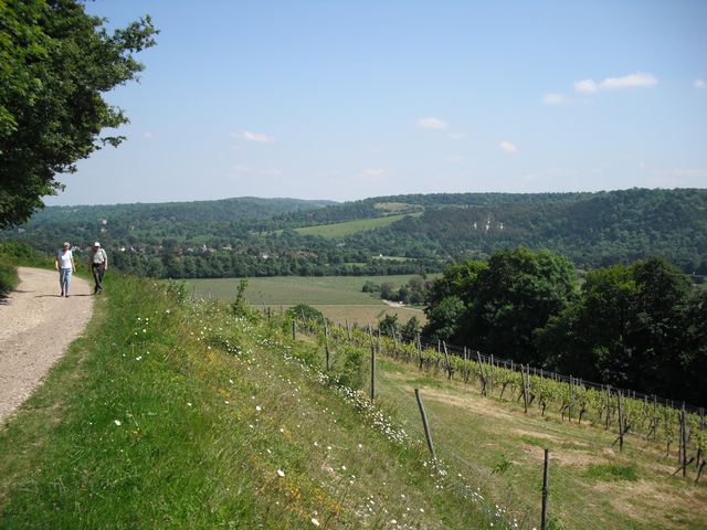 Ranmore Common